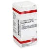 O-DHU Oenanthe crocata D 6 Tabletten, 80 St