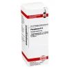 DHU P-Phosphorus D 6 Dilution, 20 ml