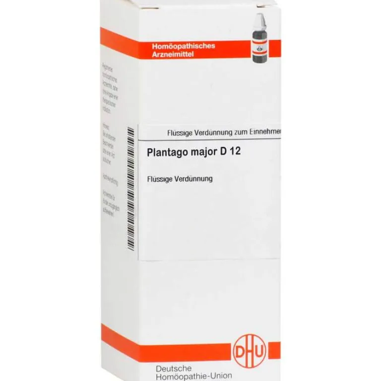 P-DHU Plantago Major D 12 Dilution, 20 ml