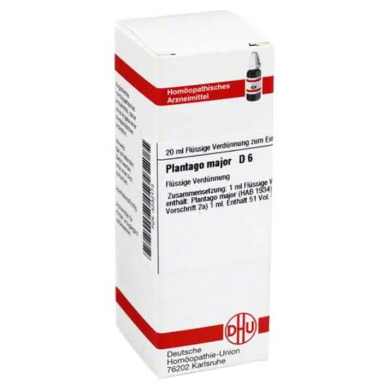P-DHU Plantago Major D 6 Dilution, 20 ml