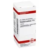 DHU P-Plumbum aceticum D 6 Tabletten, 80 St