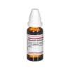 DHU Q-R-Ranunculus Bulbosus D 6 Dilution, 20 ml