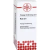 Q-R-DHU Ruta C 6 Dilution, 20 ml