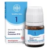 DHU Schüßler-Salze Salze Als Globuli|Salze 1-12-DHU Schüßler-Salz Nr. 1 Calcium fluoratum D12 Globuli, 10 g