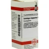 DHU S|S-Solidago virgaurea D 8 Globuli, 10 g