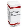 DHU T-Thallium metallicum D 6 Tabletten, 80 St