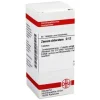 W-Z-DHU Zincum chloratum D 12 Tabletten, 80 St
