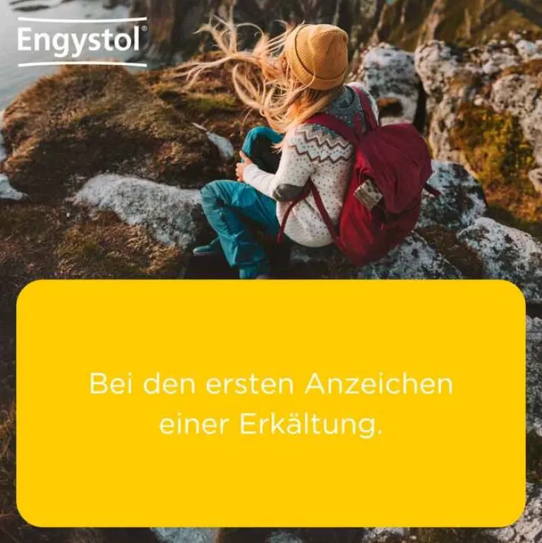 Engystol Heel|Abwehrsteigerung-® Tabletten, 250 St