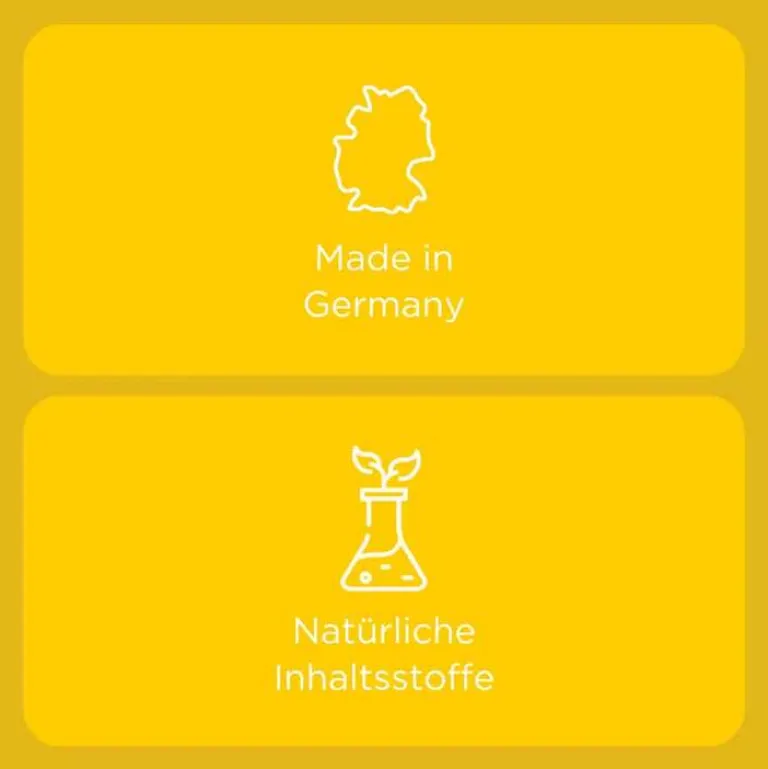 Engystol Heel|Abwehrsteigerung-® Tabletten, 250 St