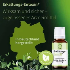Entoxin Spenglersan-Erkältungs Tropfen, 50 ml