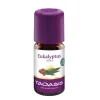 Taoasis Ätherische Öle & Duftöle-Eukalyptus radiata Öl Bio, 5 ml