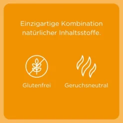 Euphorbium Compositum Heel|Nasentropfen-Nasentropfen SN Nasendosierspray, 20 ml