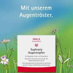 Wala Allergie|Augentropfen Bindehautentzündung-Euphrasia Augentropfen, 10X0.5 ml