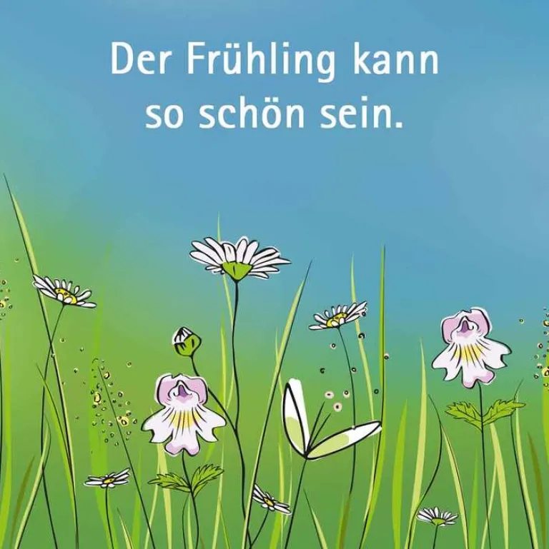 Wala Allergie|Augentropfen Bindehautentzündung-Euphrasia Augentropfen, 5X0.5 ml