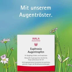 Wala Allergie|Augentropfen Bindehautentzündung-Euphrasia Augentropfen, 5X0.5 ml