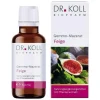 Dr. Koll Gemmo Therapie-Gemmo Mazerat Feige Ficus carica Tropfen, 50 ml