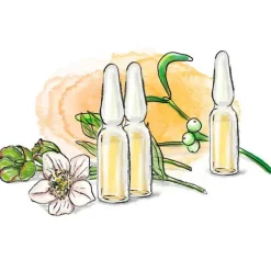 Helixor Mistelpräparate-P® Serienpackung II, 7 St