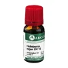 Arcana H-Helleborus Niger LM 6 Dilution, 10 ml