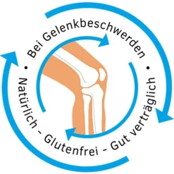 Homvioartrin Homviora-Tabletten, 75 St