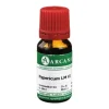 Arcana E-L|H-Hypericum LM 6 Dilution, 10 ml