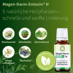 Entoxin Spenglersan-Magen Darm N Tropfen, 100 ml