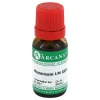 Arcana M-Mezereum LM 30 Dilution, 10 ml