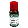 Arcana P-Petroleum LM 6 Dilution, 10 ml