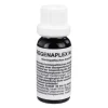 Regenaplex Regenaplex-Nr.111 b Tropfen, 15 ml