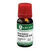 Arcana R-Z|Q-R-Rhus toxicodendron LM 18 Dilution, 10 ml