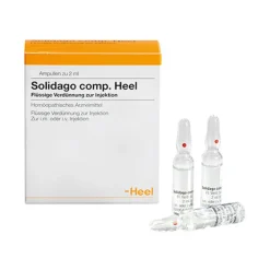 Heel Heel-Solidago comp. Ampullen, 100 St