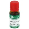 Arcana S-Symphytum LM 6 Dilution, 10 ml