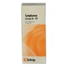 Kattwiga Kattwiga-Synergon Komplex 34 Symphytum Tropfen, 50 ml