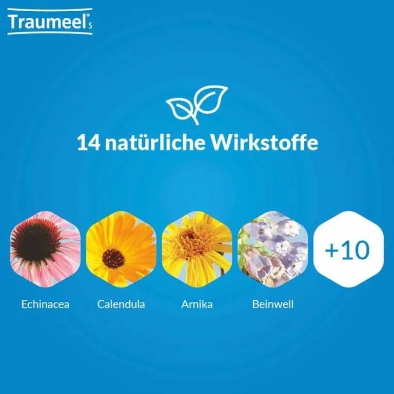 Traumeel Heel-® S Mischung, 100 ml