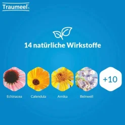 Traumeel Heel-S Tabletten, 250 St