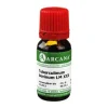 Arcana T-Tuberculinum Bovinum LM 30 Dilution, 10 ml