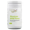 Vitaworld Yamswurzel-Yams 500 mg Kapseln, 60 St