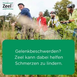 Zeel Heel-comp.N Tabletten, 250 St